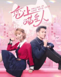 hahabet梦想